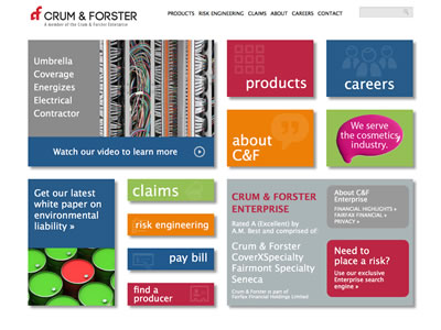 cfins.com website screenshot